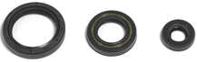 COMPLETE ENG OIL SEAL KIT