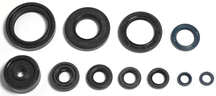 COMPLETE ENGINE OIL SEAL KIT