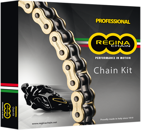 REGINA Chain and Sprocket Kit - Kawasaki - EX 500 - '94-'05 5ZRT/104-KKA002