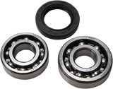 ALL BALLS Chain Case Bearing and Seal Kit 14-1029