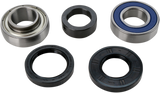 ALL BALLS Chain Case Bearing and Seal Kit 14-1055