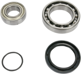 ALL BALLS Chain Case Bearing and Seal Kit 14-1041