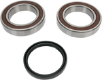 ALL BALLS Chain Case Bearing and Seal Kit 14-1035