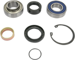 ALL BALLS Chain Case Bearing and Seal Kit 14-1039