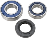 ALL BALLS Chain Case Bearing and Seal Kit 14-1053