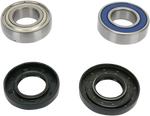ALL BALLS Chain Case Bearing and Seal Kit 14-1045