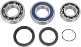 ALL BALLS Chain Case Bearing and Seal Kit 14-1051