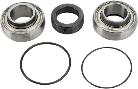 ALL BALLS Chain Case Bearing and Seal Kit 14-1008