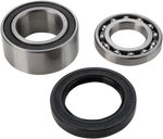 ALL BALLS Chain Case Bearing and Seal Kit 14-1010