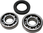 ALL BALLS Chain Case Bearing and Seal Kit 14-1029