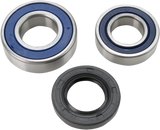 ALL BALLS Chain Case Bearing and Seal Kit 14-1052