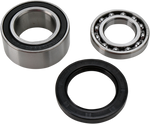 ALL BALLS Chain Case Bearing and Seal Kit 14-1011