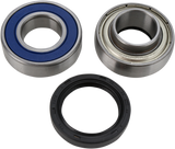 ALL BALLS Chain Case Bearing and Seal Kit 14-1024