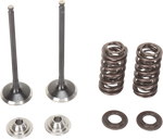 MOOSE RACING Valve and Spring Kit M80-80860