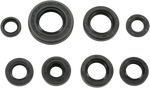 MOOSE RACING Motor Seals 822181MSE