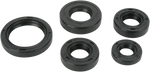 MOOSE RACING Motor Seals 822242MSE