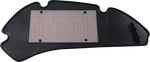 HIFLOFILTRO Air Filter - Honda SH125/150 HFA1112