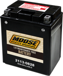 MOOSE UTILITY AGM Battery - CTX14AH CTX14AH (FA)