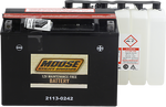 MOOSE UTILITY AGM Battery - YTX24HL-BS MTX24HL-BS