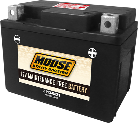 MOOSE UTILITY AGM Battery - CTX4L CTX4L