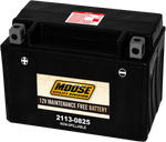 MOOSE UTILITY AGM Battery - CTX9 CTX9