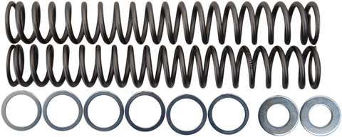 RACE TECH Fork Springs - 1.10 kg/mm FRSP S4430110