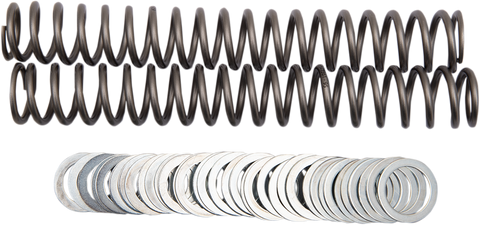 RACE TECH Fork Springs - 0.95 kg/mm FRSP S3827095