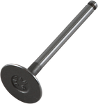 PROX Intake Valve 28.1070-2
