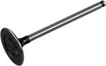 PROX Intake Valve 28.1226-2
