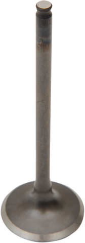 PROX Intake Valve 28.1227-2