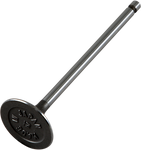 PROX Intake Valve 28.1356-2