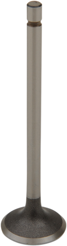 PROX Exhaust Valve 28.1381-1