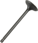 PROX Intake Valve 28.1381-2