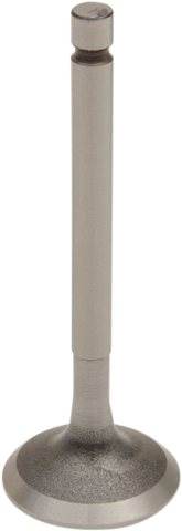 PROX Exhaust Valve 28.2200-1