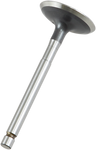 PROX Intake Valve 28.2200-2