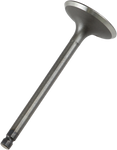 PROX Intake Valve 28.2487-2
