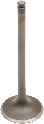 PROX Intake Valve 28.6520-2
