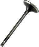 PROX Exhaust Valve 28.1409-1