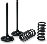 PROX Valve and Spring Kit 28.SES2440-1