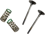PROX Valve and Spring Kit 28.SES2402-1