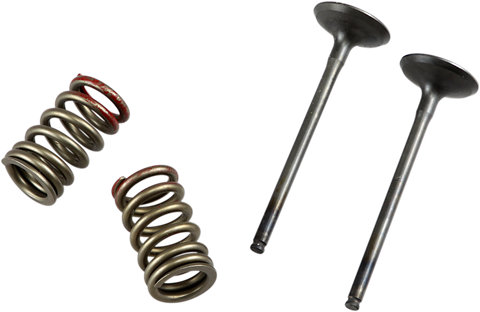 PROX Valve and Spring Kit 28.SES4335-1