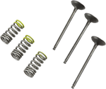 PROX Valve and Spring Kit 28.SIS2402-2