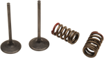 PROX Valve and Spring Kit 28.SIS4335-2