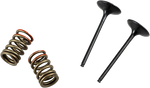 PROX Valve and Spring Kit 28.SIS4341-2