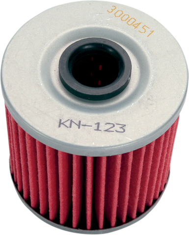K & N Oil Filter KN-123