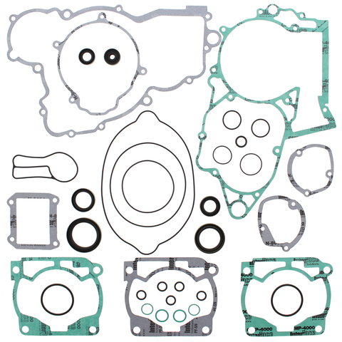 Complete Gasket Set With Oil Seals