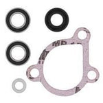 Water Pump Rebuild Kit