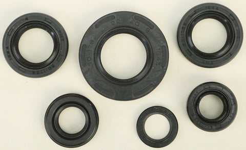 Oil Seal Set