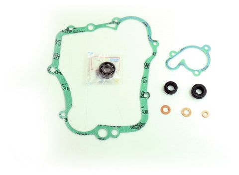 Water Pump Repair Kit W/Bearings Yam