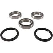 Rear Wheel Bearing Kit